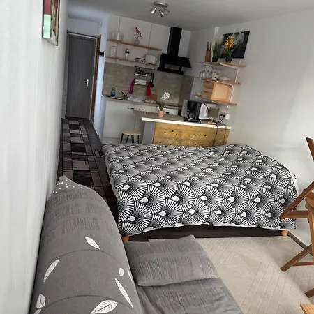 Poisson Apartament