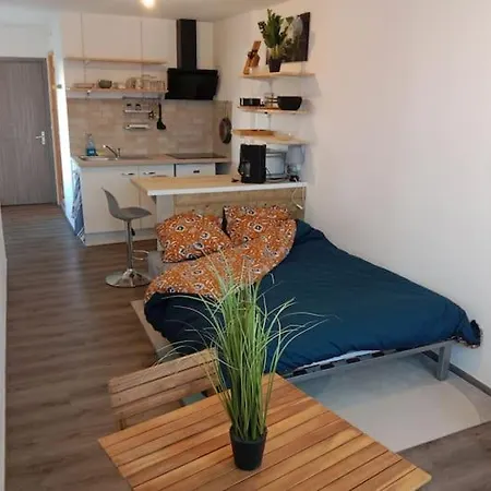 Poisson Apartament *